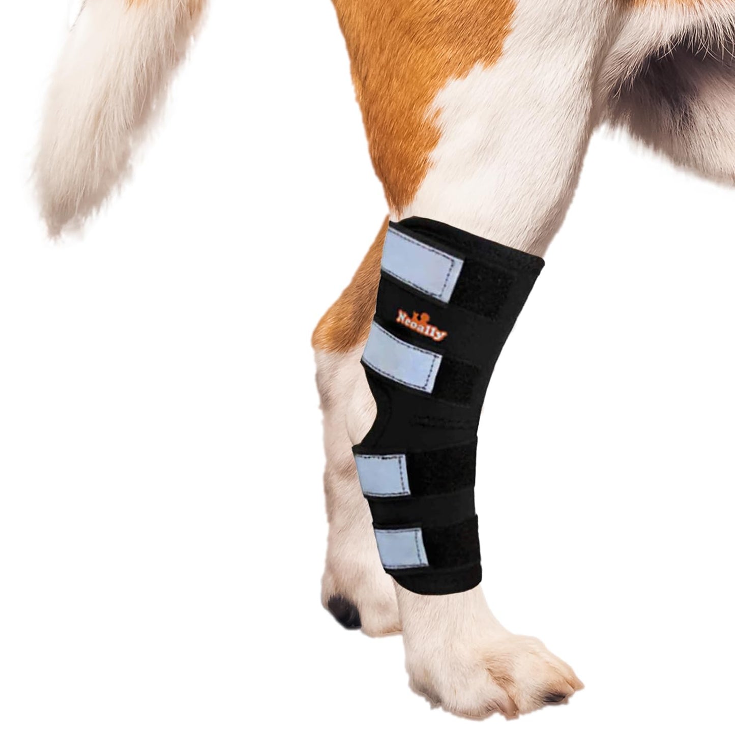 NeoAlly Dog Rear Leg (One Leg) Hock Brace Canine Leg Wrap for Hind Leg Ideal Hock & Ankle Support and Protection for Sprain Recovery Achilles Tendon Injury (Extra Large (Left Leg))